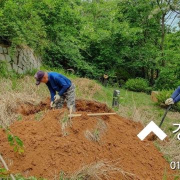 성묘를 자주 못해 묵은 잡초가 무성한 용미리1묘지 200구역 묘지개장 묘지화장